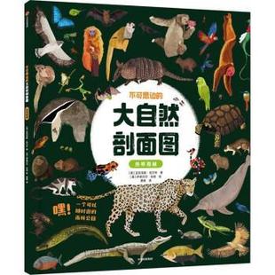 大自然剖面图：热带雨林 不可思议 彩图版 9787521752977 社5 中信出版 雅