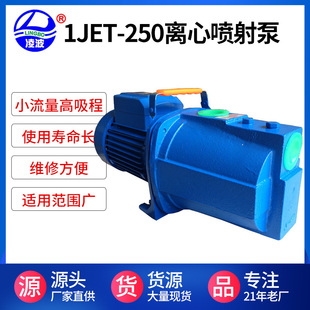 家用射流水泵 供应凌波牌 JET 250高扬程居家养殖喷淋 离心式