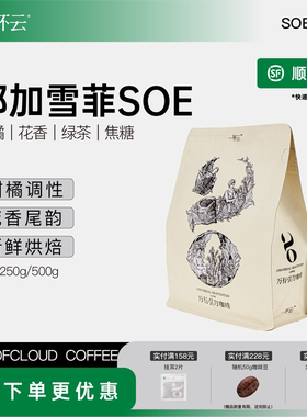 一杯云 埃塞耶加雪菲水洗soe现磨新鲜烘焙单品咖啡豆250g