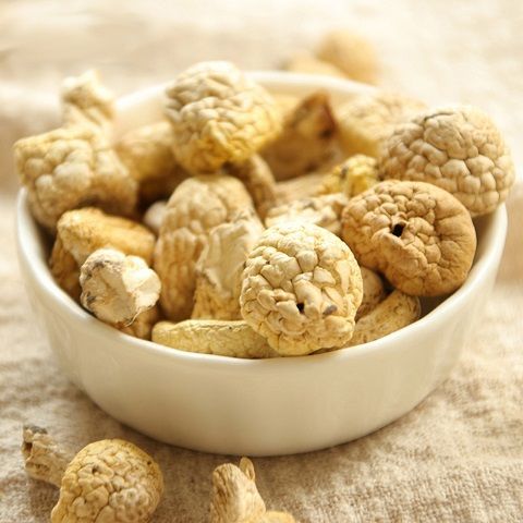 藏盈堂青海黄蘑菇97%的人没吃过无法人工种植草原上丁字菇