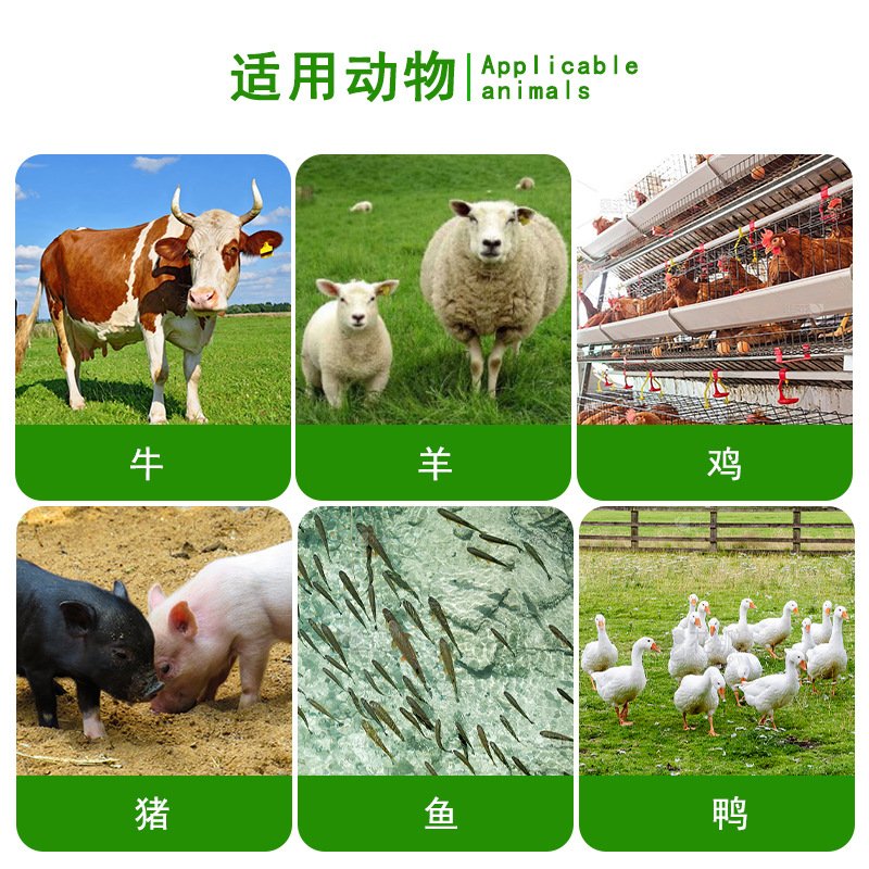 紫花苜蓿草袋装30公斤基地种植草粉鸡鸭鹅猪兔家禽饲草饲料