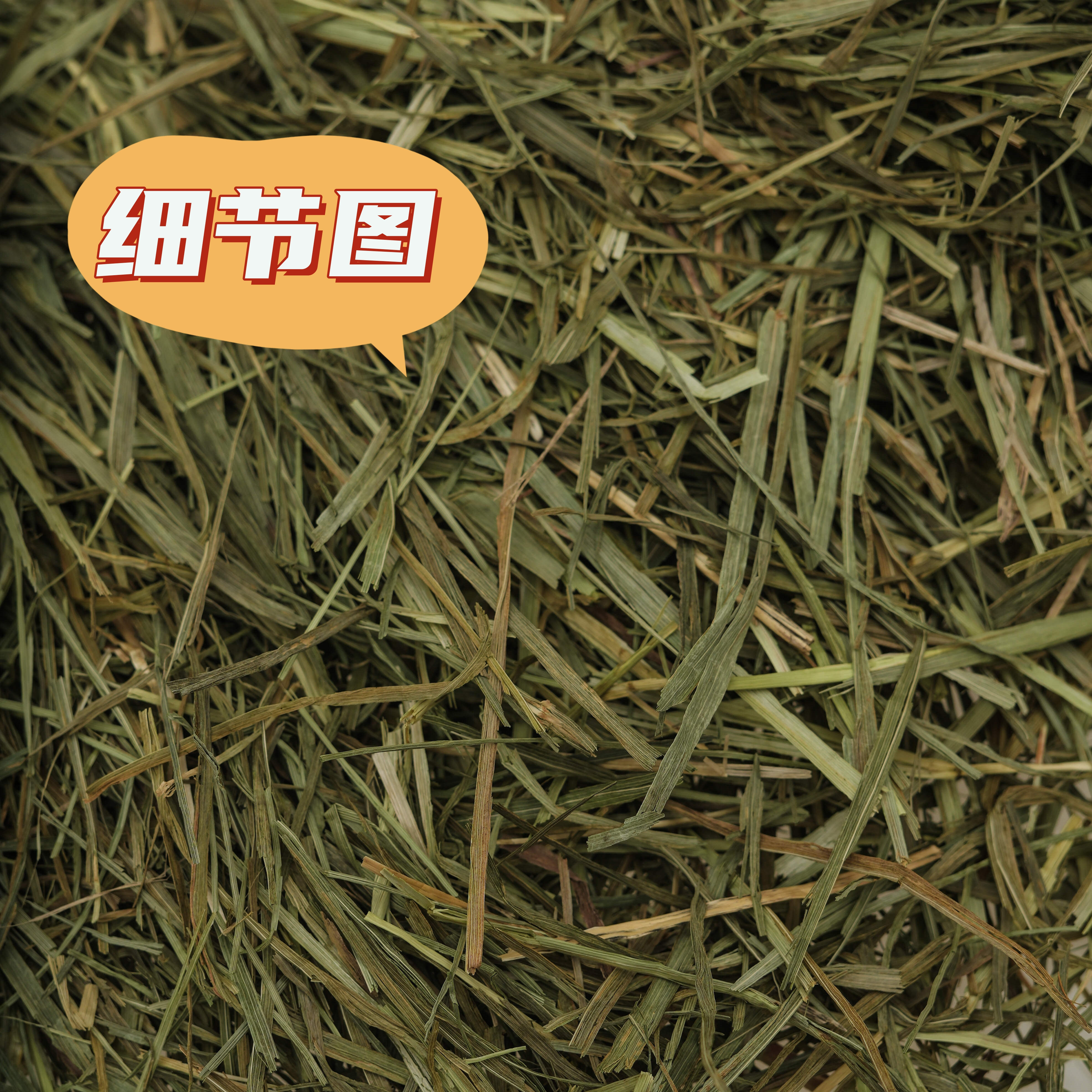 进口美国提摩西晒干草二番多叶,宠物/宠物食品及用品,兔兔其他,淘宝优惠券,粉丝福利购,淘宝优惠卷