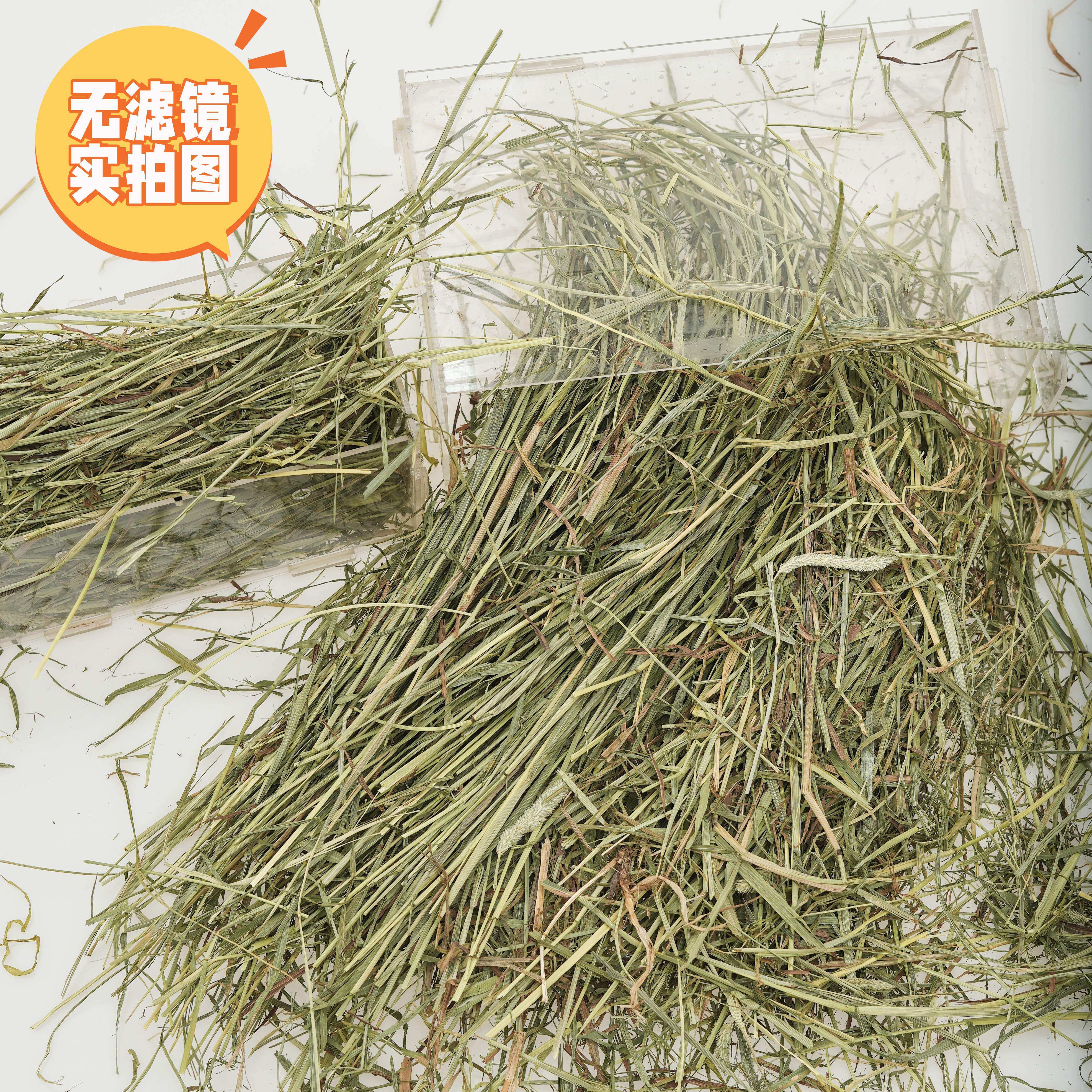 进口美国提摩西晒干草二番新草,宠物/宠物食品及用品,兔兔其他,淘宝优惠券,粉丝福利购,淘宝优惠卷