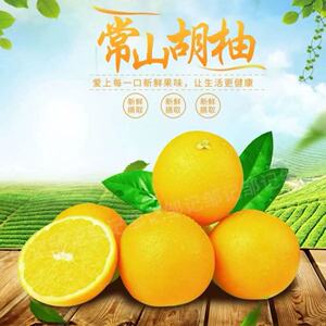 常山胡柚40斤现货当季产地直发