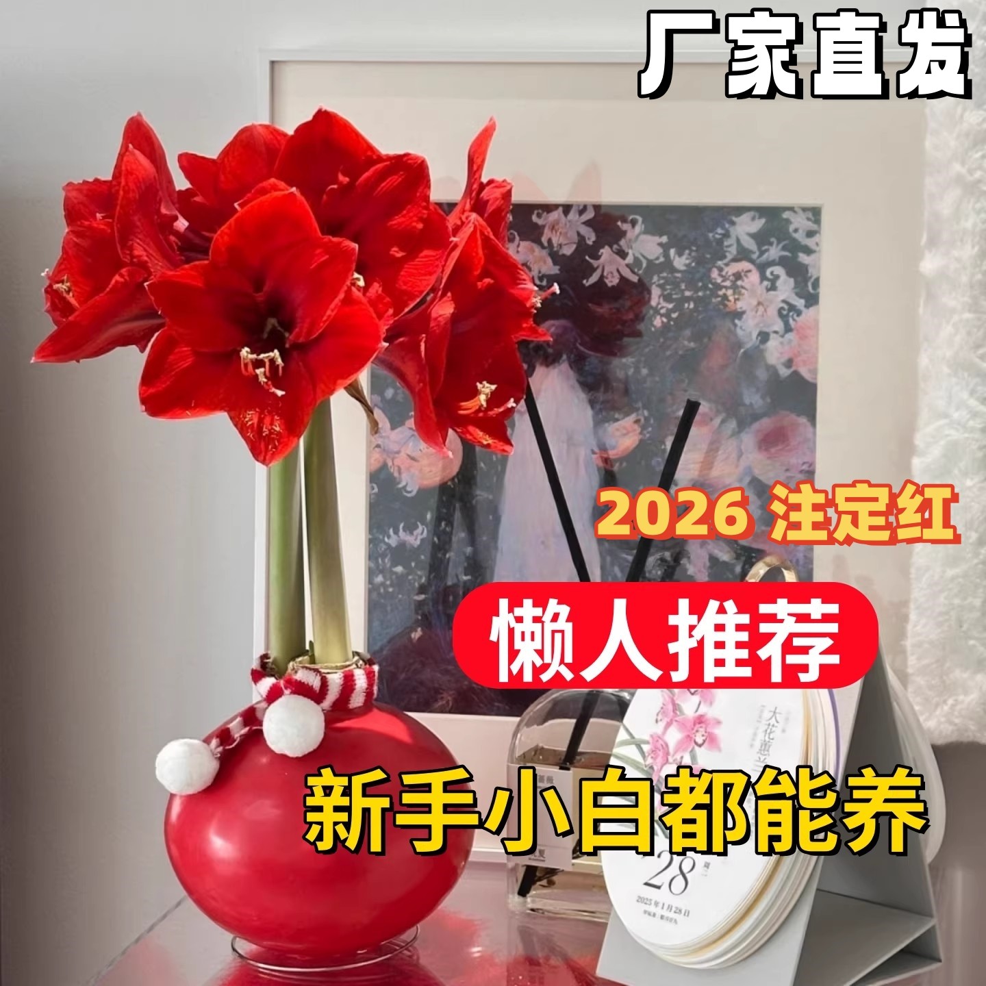 朱顶红蜡球注定红好运封冬礼品开花蜡球客厅办公创意植物年宵花卉,鲜花速递/花卉仿真/绿植园艺,花材,淘宝优惠券,粉丝福利购,淘宝优惠卷