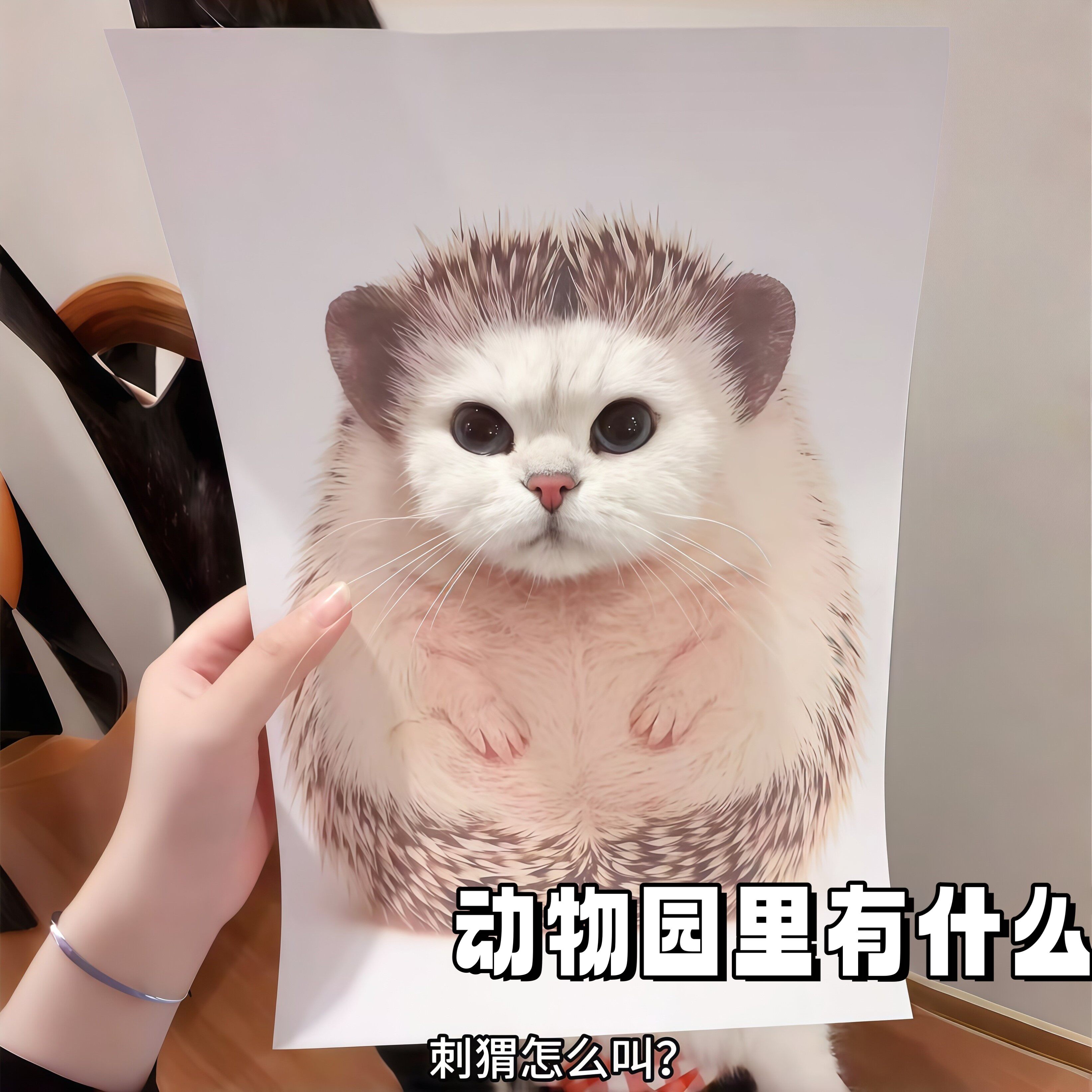 猫咪DIY头套模仿拍照装饰海报
