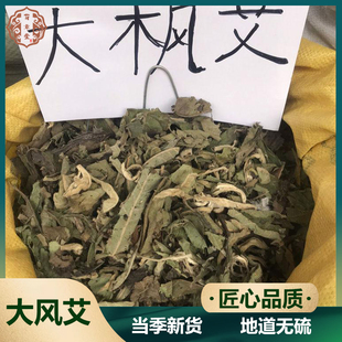野生艾纳香中药材大风艾500g牛耳艾新鲜大枫艾大风叶大枫叶可磨粉