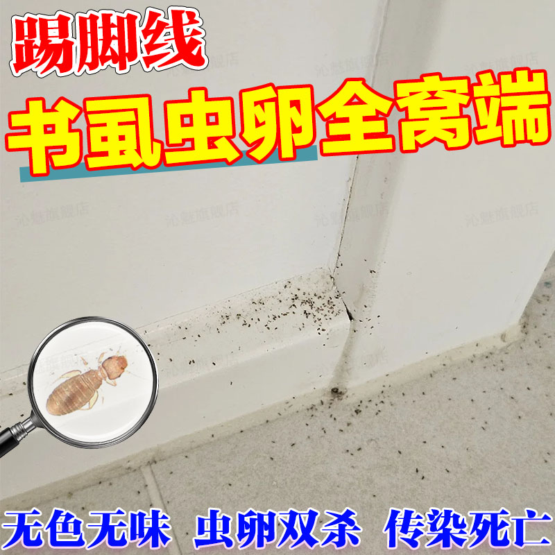 踢脚线木虱书虱虫卵一窝端杀虫剂
