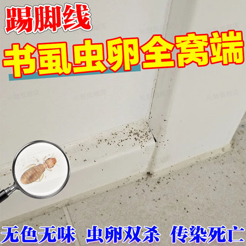 踢脚线木虱书虱虫卵端窝杀虫剂