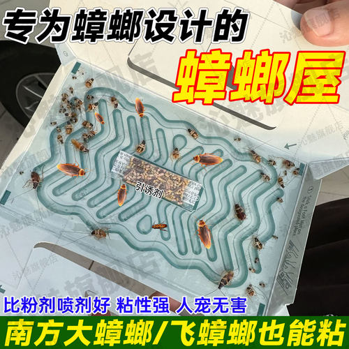 强力粘贴蟑螂屋非无毒家用灭小强