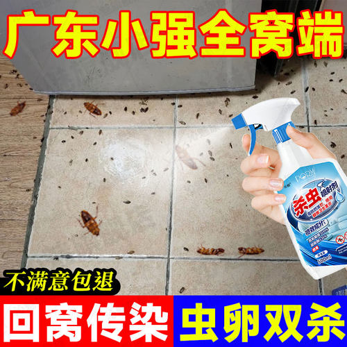 广东小强蟑螂药强效灭蟑螂杀虫剂
