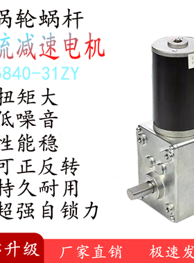 5840-31ZY直流电涡轮蜗杆减速电机12v24v大扭力智能窗帘小马达
