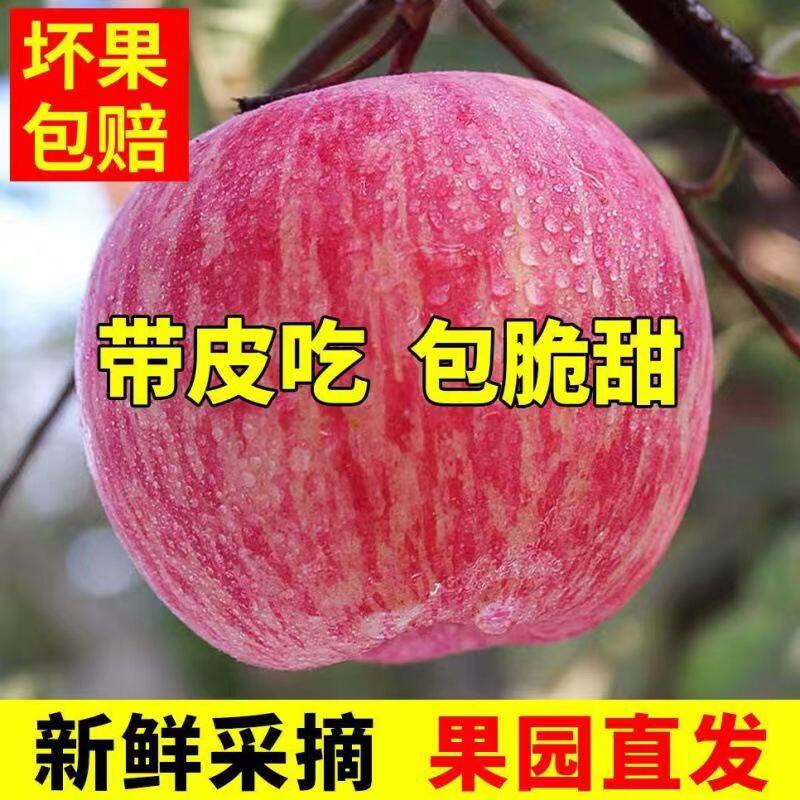 正宗洛川红富士苹果应当季新鲜水果整箱包邮陕西冰糖心大果脆甜