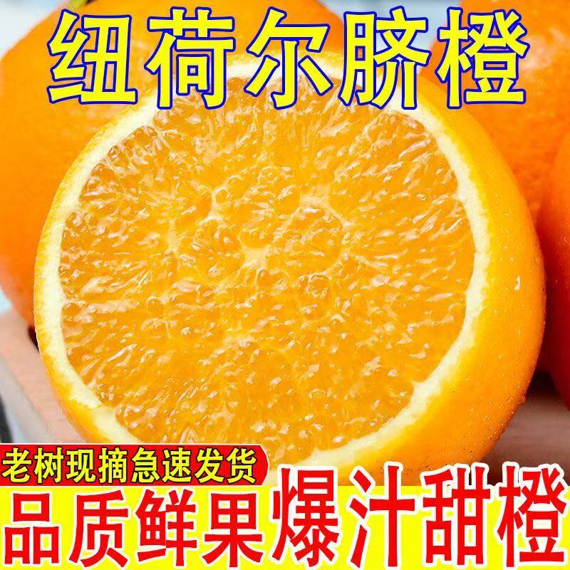 正宗云南高山脐橙橙子新鲜水果大甜榨汁果冻秭脐归直批发整箱
