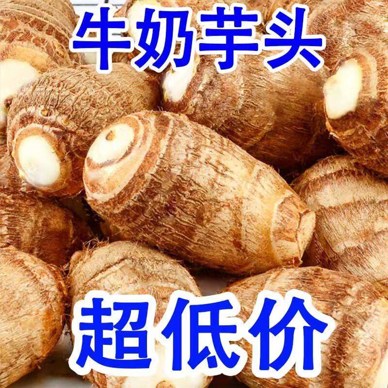 新货山东牛奶小芋头新鲜现挖毛芋头奶油芋艿鲜蔬菜芋头5斤包邮