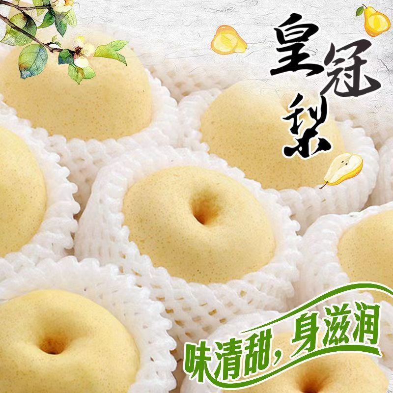 正宗皇冠梨新鲜梨子应季水果冰糖梨整箱包邮批发现摘大果精选