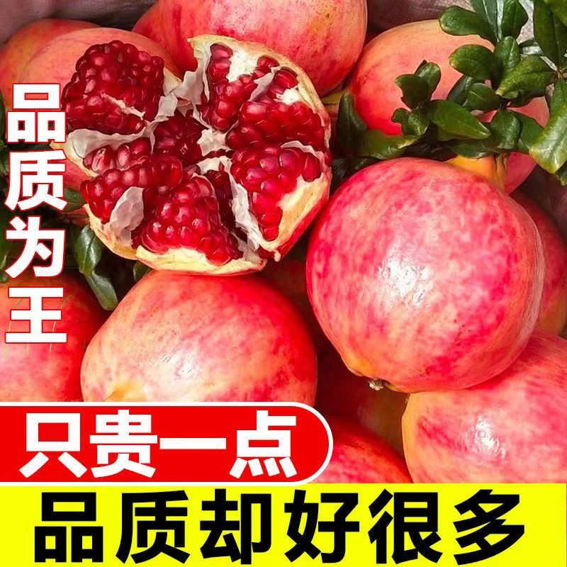 2026突尼斯软籽石榴水果新鲜整箱当季红宝石会理特价包邮
