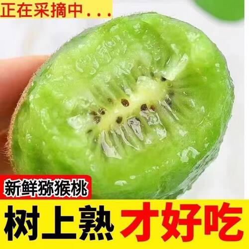 【现货】河南猕猴桃5斤奇异果绿心弥猴桃水果新鲜当季整箱智利桃