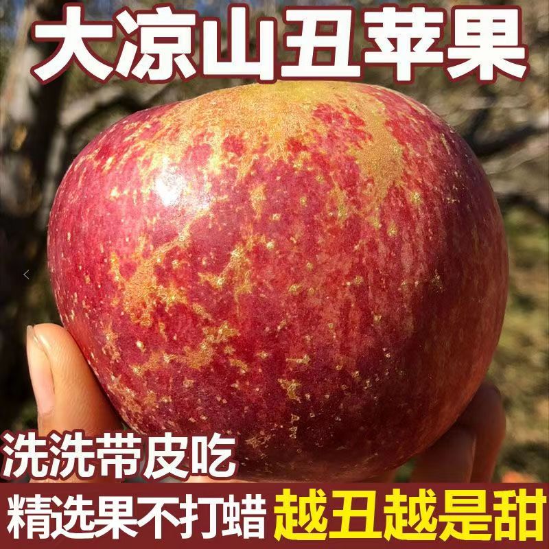 大凉山盐源丑苹果5斤新鲜水果当季现摘红富士冰糖心苹果包邮