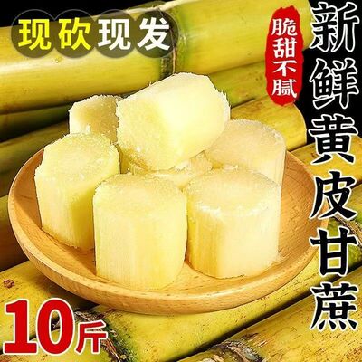 云南黄金甘蔗新鲜水果脆甜中段正宗黄皮去皮甜杆批发整跟9斤包邮