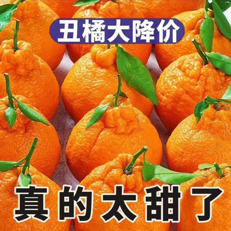 四川正宗不知火丑橘水果新鲜应当季整箱桔子柑橘耙耙蜜桔丑八怪