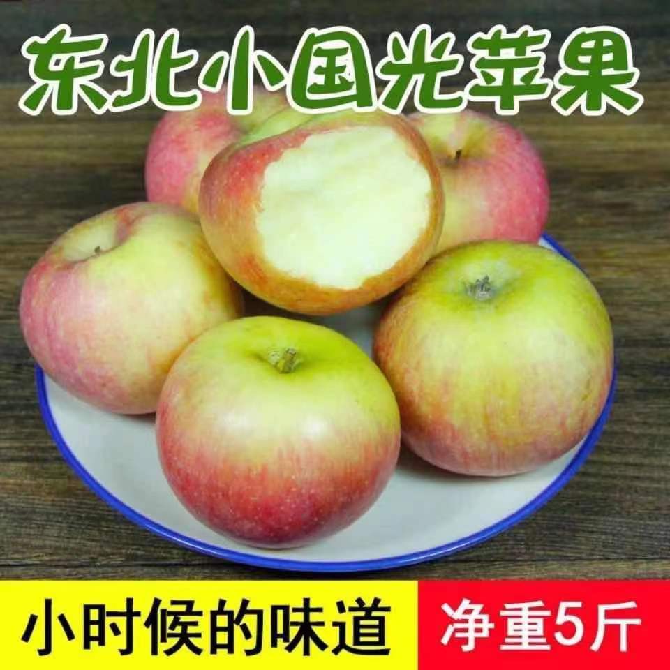 小国光苹果笨果新鲜水果东北国光苹果不打蜡不套袋 现摘包邮