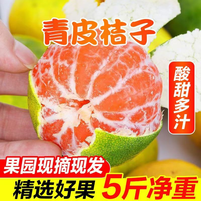 云南青皮蜜桔水嫩多汁酸甜可口脆甜爽口桔子橘子青桔水果