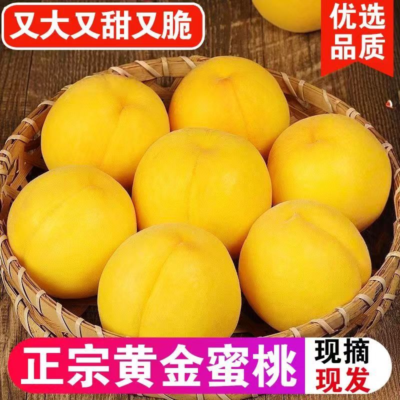 山东黄桃应当季水果产地直发桃子整件包邮新鲜黄金蜜毛桃包邮