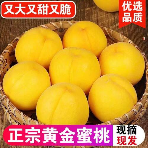 山东黄桃应当季水果产地直发桃子整件包邮新鲜黄金蜜毛桃包邮
