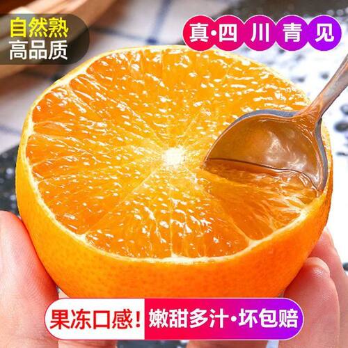 春季新品四川青见果冻橙新鲜水果现摘薄皮橙桔子包邮