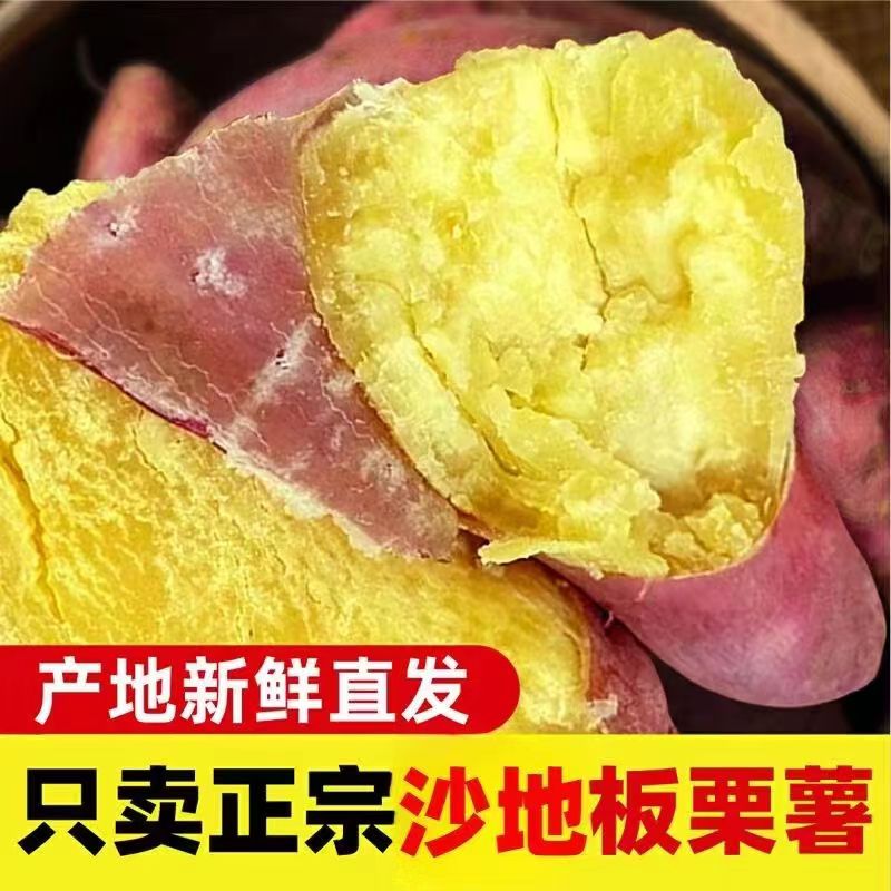 2026年现挖板栗红薯地瓜蜜薯整箱农家粉糯粗粮新鲜番薯包邮