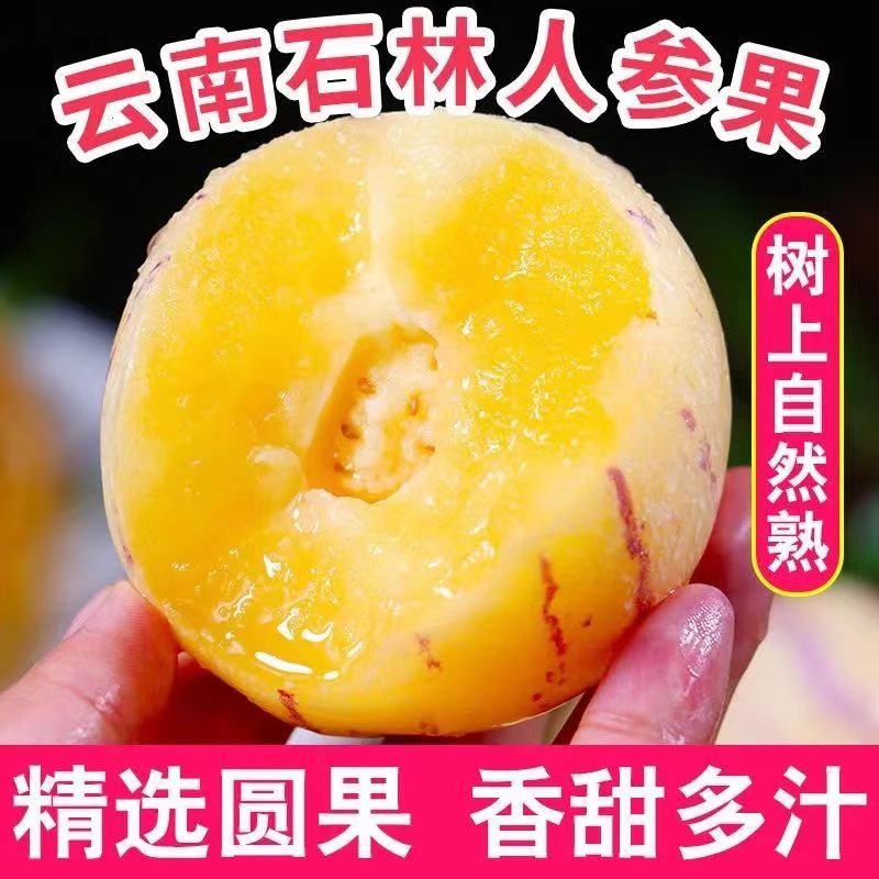 人参果云南石林树上熟圆果清甜多汁人生果娃娃果七彩黄肉新鲜水果