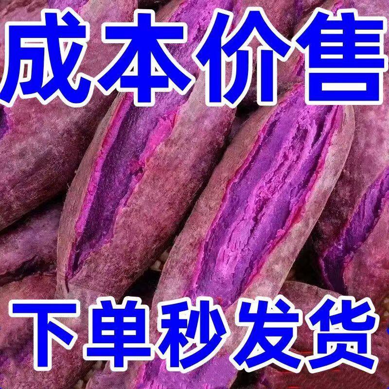 紫薯新鲜地瓜紫心蜜薯种薯现挖沙地板栗番薯山芋农家自种蔬菜5斤