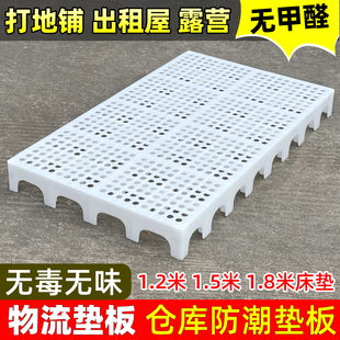 防潮板垫床板打地铺榻榻米床架平替床垫卧室隔潮板地台板物流垫板