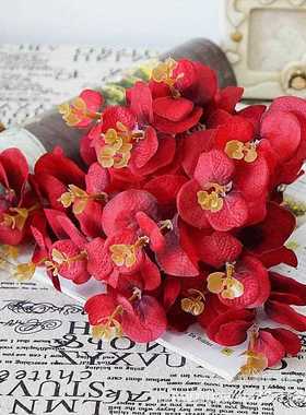 新款直销仿真16头尤加利叶婚庆摄影植物背景墙假花金钱草叶绿色插