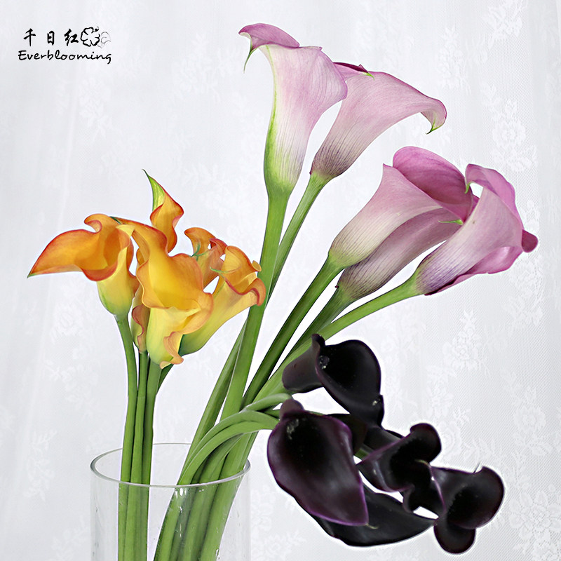 千日红 海芋5枝鲜切花水养婚礼家庭室内插花马蹄莲 北京同城速递