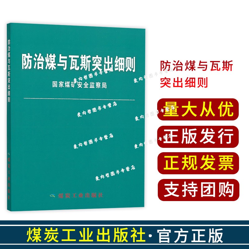 【正版】2019防治煤与瓦斯突出细则国家煤矿安全监察局煤炭工业出版社煤矿山安全瓦斯安全防治煤与瓦斯突出规定防突技术安全 2