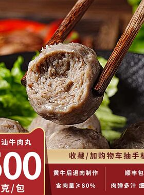 秋官郎牛肉丸潮汕正宗手打潮州特产牛筋丸烧烤火锅食材500g