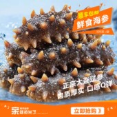 海宝洋海参即食海参大连非鲜活辽参海生刺参单个独立速食500g袋装