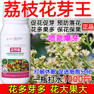 荔枝促花催芽荔枝花芽促长素催花保果叶面肥保花保果催花强制座果