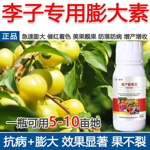 李子膨大素李子专用膨大剂催花着色美果膨大增产增收防落叶面肥