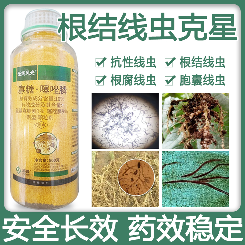 根结线虫克星寡糖噻唑膦果树黄瓜柑橘番茄辣椒根结线虫地下虫农药