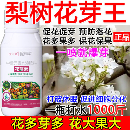 梨树促花催芽梨树花芽促长素催花保果叶面肥保花保果催花强制座果
