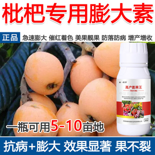 枇杷膨大素枇杷专用膨大剂催花着色美果膨大增产增收防落叶面肥