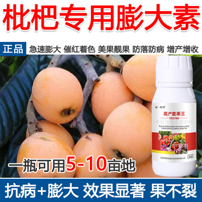 枇杷膨大素枇杷专用膨大剂催花着色美果膨大增产增收防落叶面肥