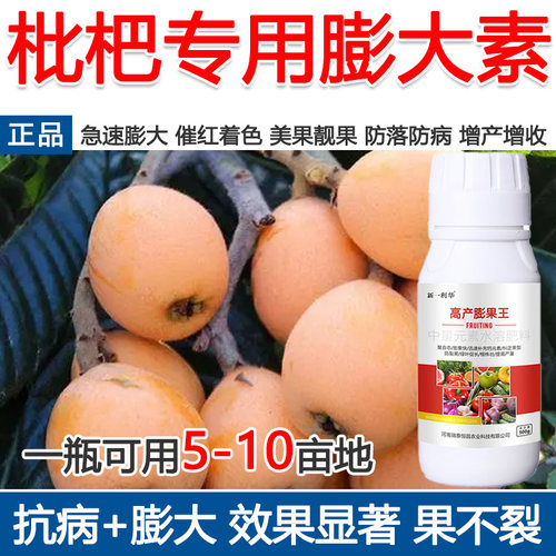 枇杷膨大素枇杷专用膨大剂催花着色美果膨大增产增收防落叶面肥
