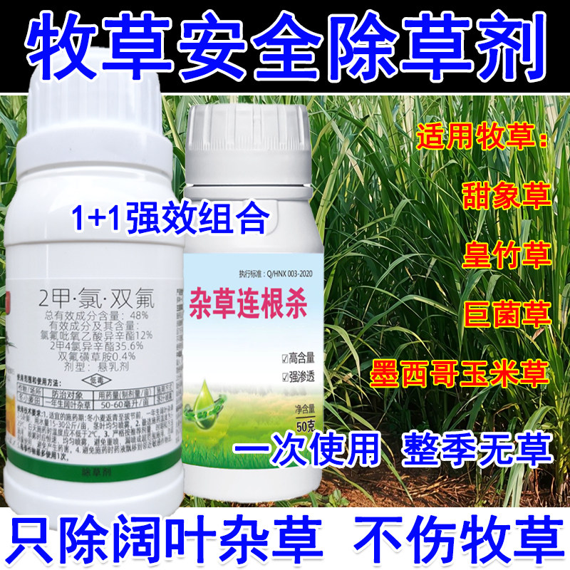 牧草除草剂牧草田除草剂皇竹草甜象草黑麦草巨菌草墨西哥玉米草