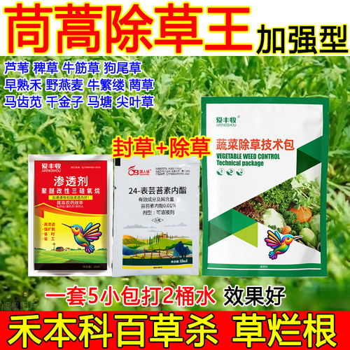 茼蒿除草剂茼蒿田除草剂杂草烂根不伤菜狗尾草牛筋草烂根除草剂