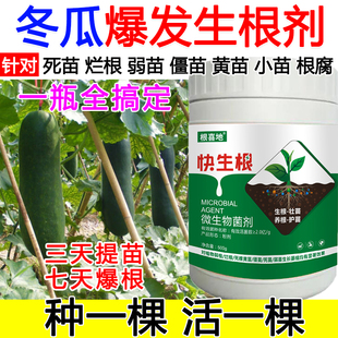冬瓜生根粉冬瓜生根肥料生根液蔬菜果树生根壮苗剂死苗烂根防死棵