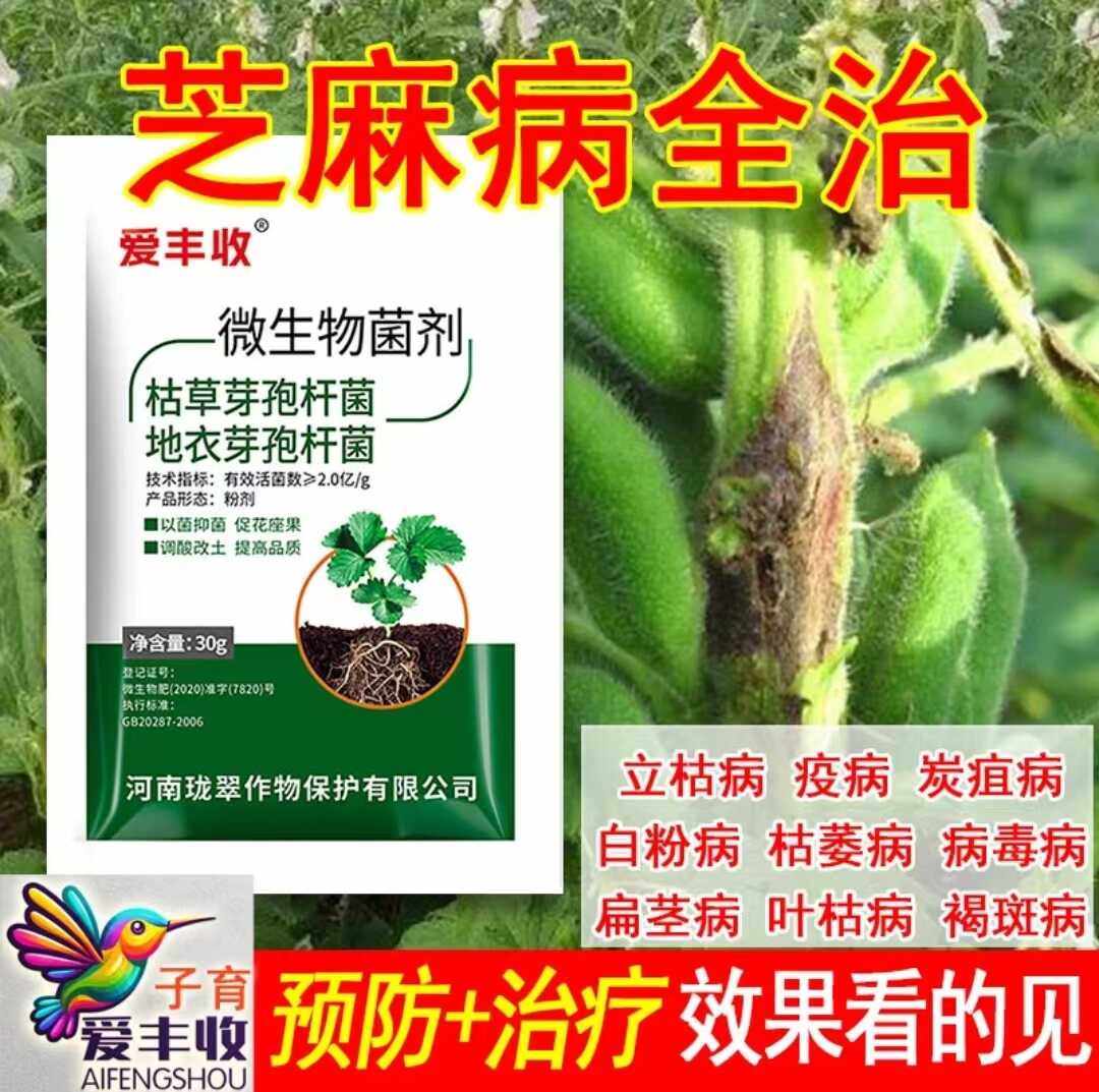 杀菌剂全治芝麻病爱丰收